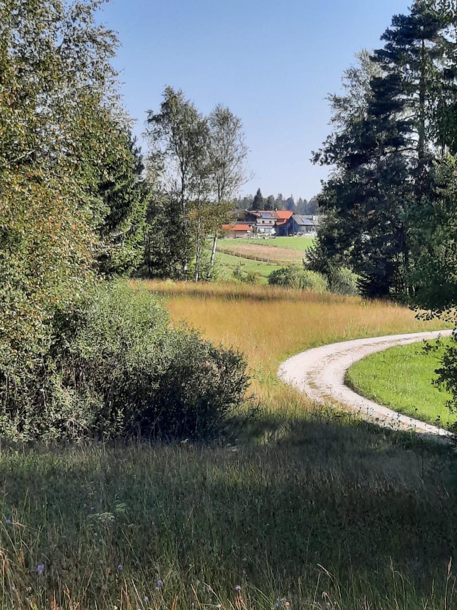 Ferienwohnung Am Wirtshof Siegsdorf Esterno foto