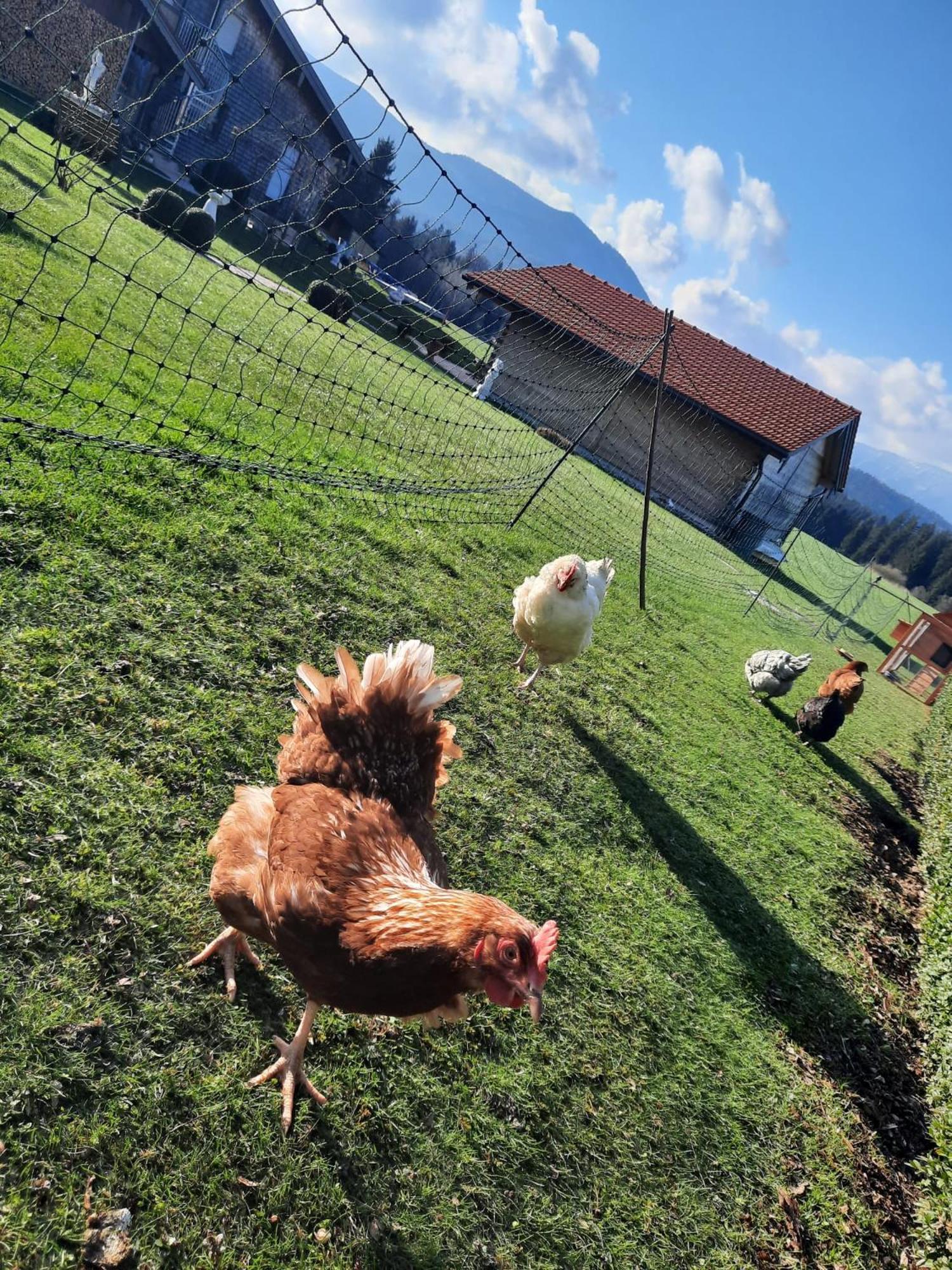 Ferienwohnung Am Wirtshof Siegsdorf Esterno foto