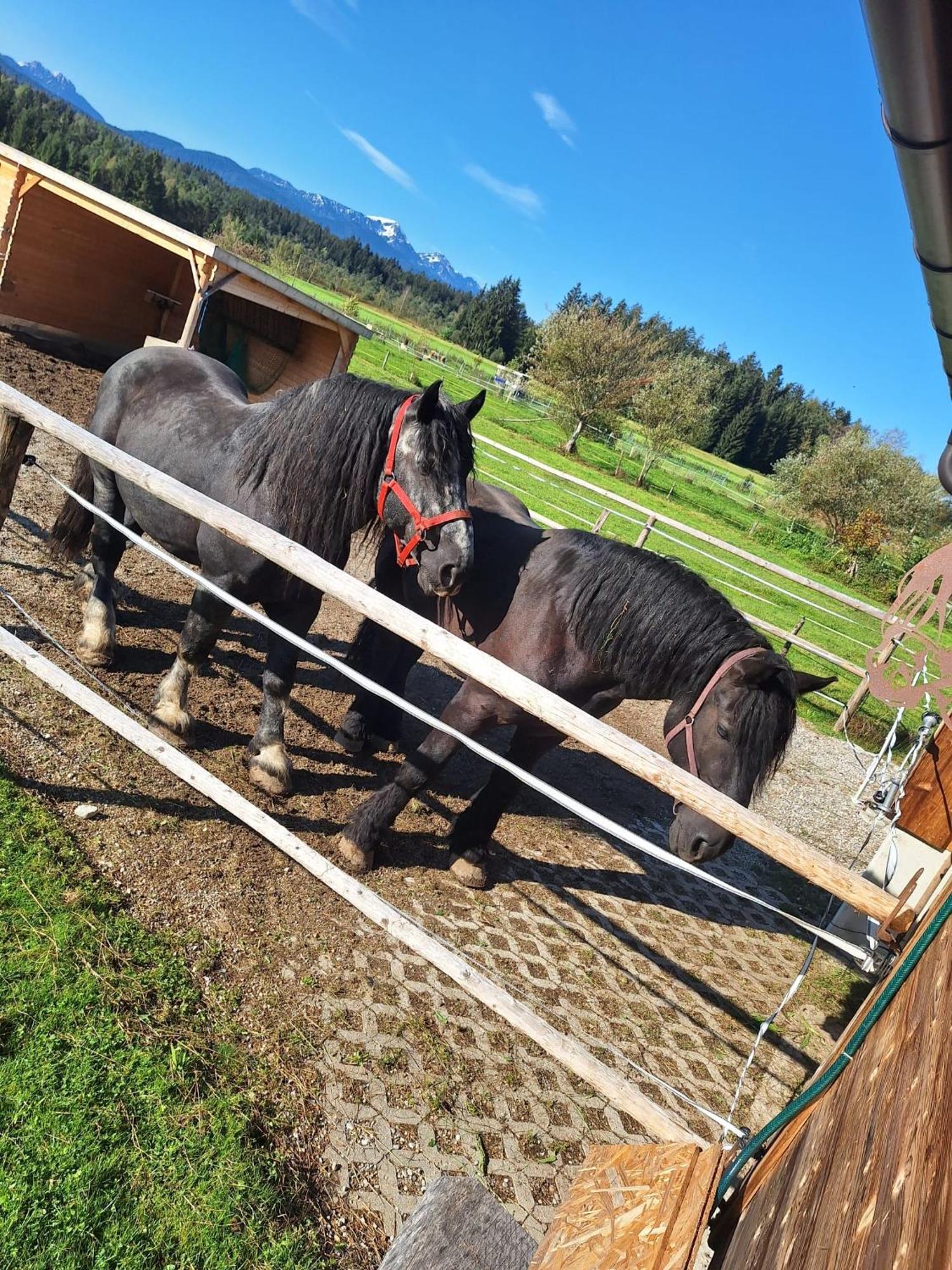 Ferienwohnung Am Wirtshof Siegsdorf Esterno foto